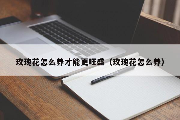 玫瑰花怎么养才能更旺盛（玫瑰花怎么养）