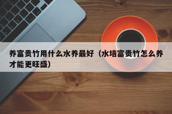 养富贵竹用什么水养最好(水培富贵竹怎么养才能更旺盛)