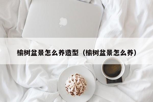 榆树盆景怎么养造型（榆树盆景怎么养）