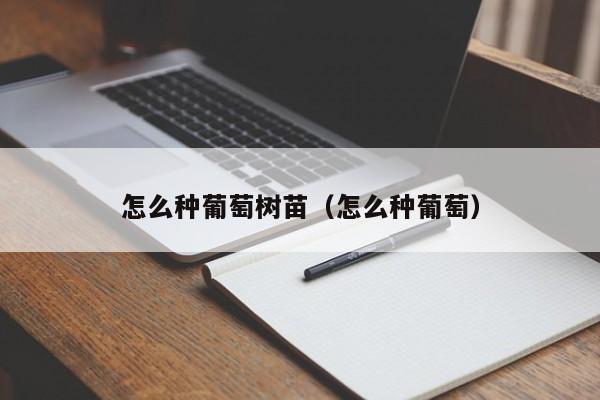怎么种葡萄树苗(怎么种葡萄)