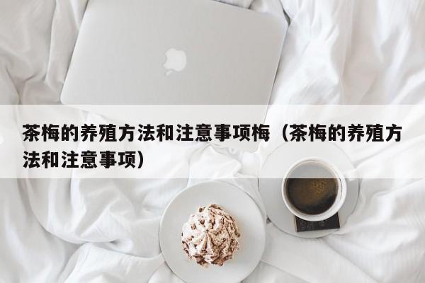 茶梅的养殖方法和注意事项梅(茶梅的养殖方法和注意事项)