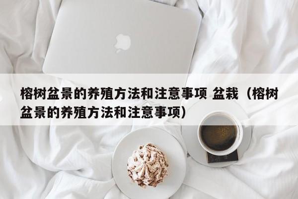 榕树盆景的养殖方法和注意事项 盆栽(榕树盆景的养殖方法和注意事项)
