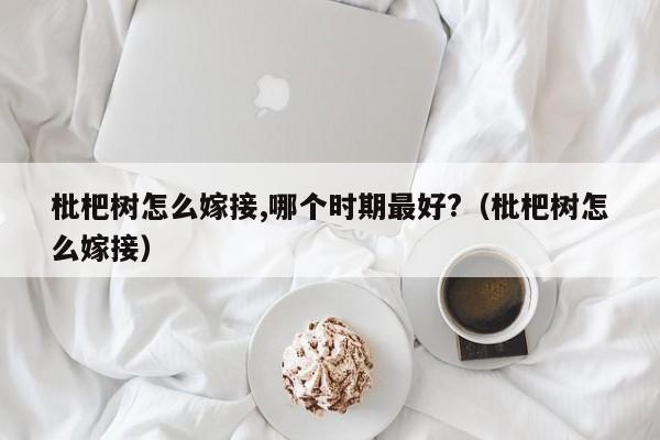 枇杷树怎么嫁接,哪个时期最好?(枇杷树怎么嫁接)