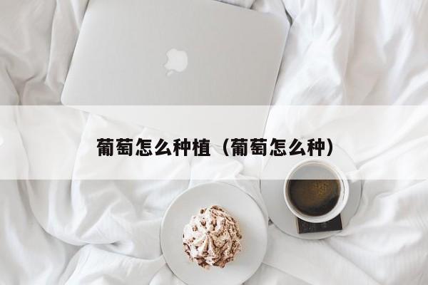 葡萄怎么种植(葡萄怎么种)