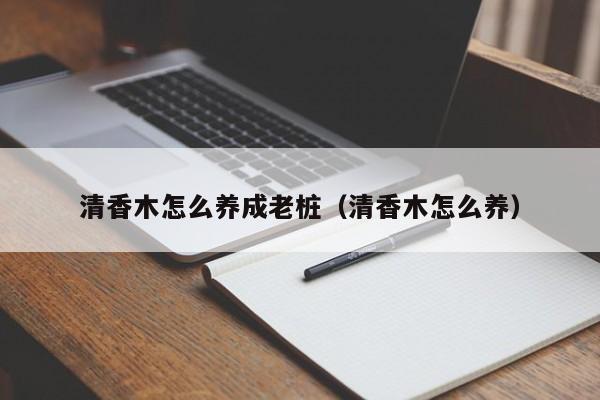 清香木怎么养成老桩(清香木怎么养)