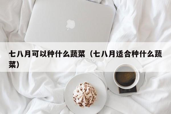 七八月可以种什么蔬菜(七八月适合种什么蔬菜)
