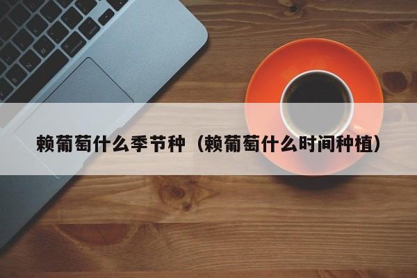 赖葡萄什么季节种（赖葡萄什么时间种植）
