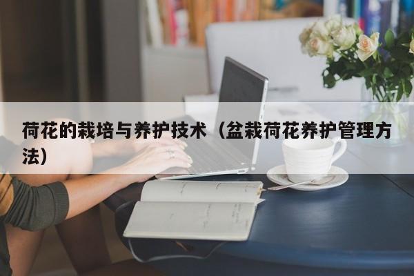 荷花的栽培与养护技术(盆栽荷花养护管理方法)