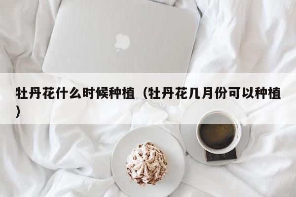 牡丹花什么时候种植(牡丹花几月份可以种植)
