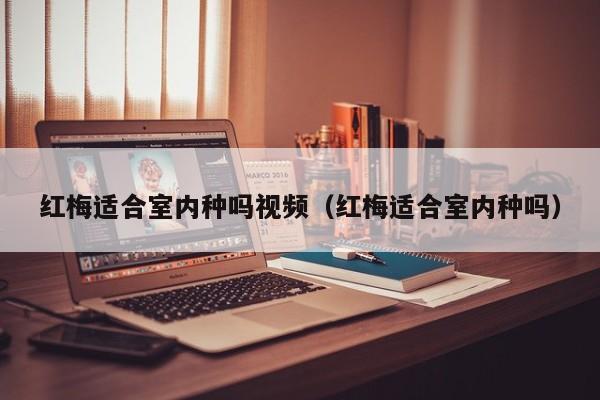 红梅适合室内种吗视频(红梅适合室内种吗)