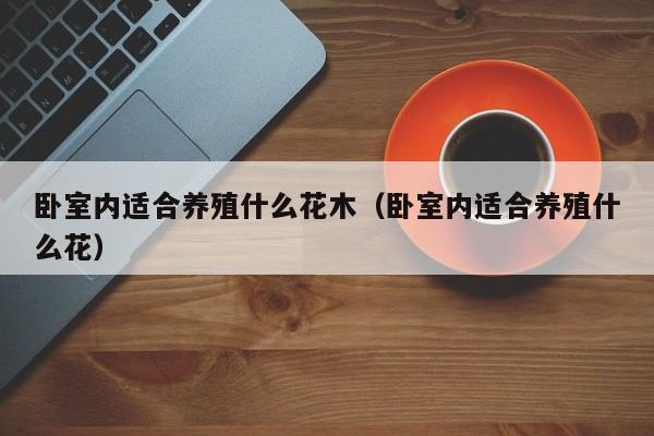卧室内适合养殖什么花木（卧室内适合养殖什么花）