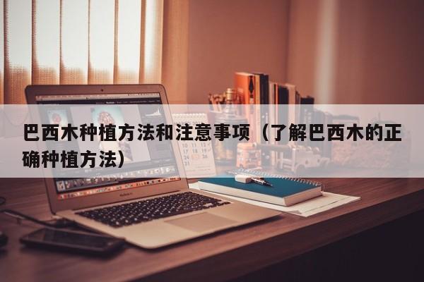 巴西木种植方法和注意事项(了解巴西木的正确种植方法)