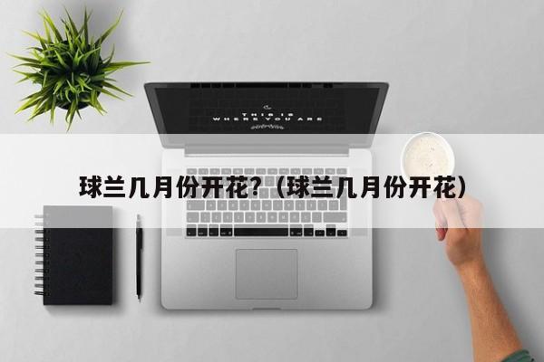 球兰几月份开花?(球兰几月份开花)