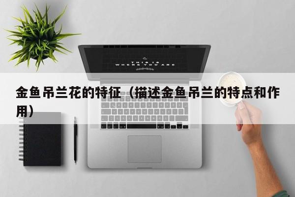 金鱼吊兰花的特征（描述金鱼吊兰的特点和作用）