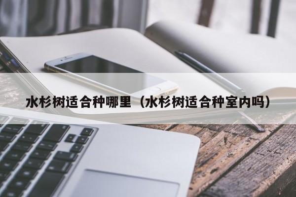 水杉树适合种哪里(水杉树适合种室内吗)