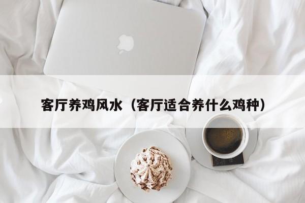 客厅养鸡风水（客厅适合养什么鸡种）