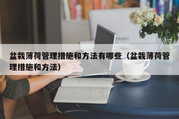盆栽薄荷管理措施和方法有哪些(盆栽薄荷管理措施和方法)