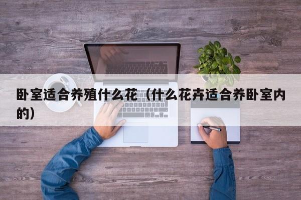 卧室适合养殖什么花(什么花卉适合养卧室内的)