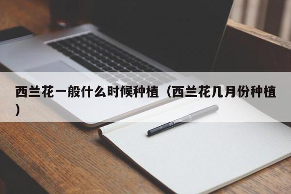 西兰花一般什么时候种植(西兰花几月份种植)