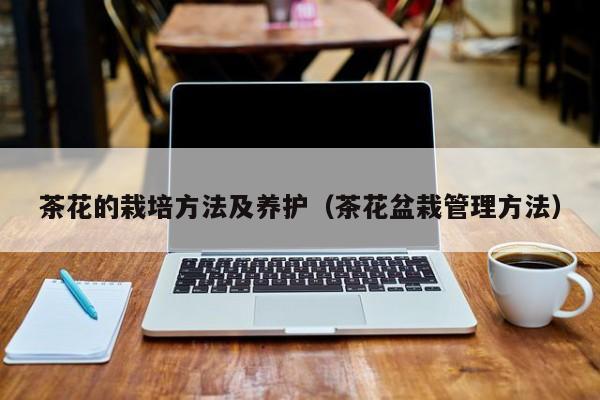 茶花的栽培方法及养护(茶花盆栽管理方法)