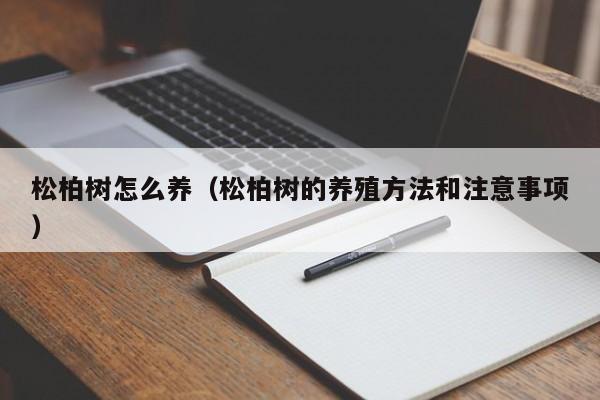 松柏树怎么养(松柏树的养殖方法和注意事项)
