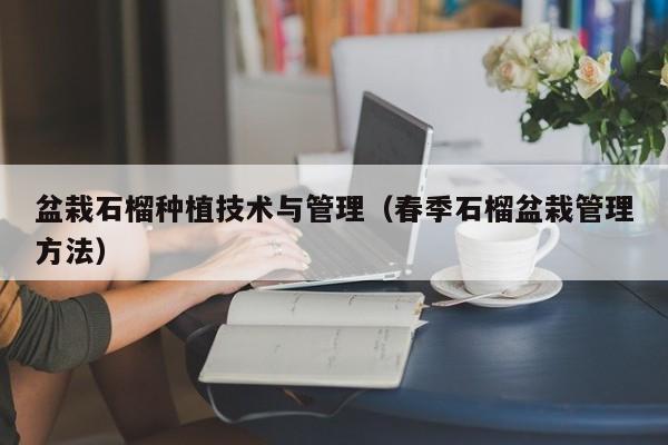 盆栽石榴种植技术与管理(春季石榴盆栽管理方法)