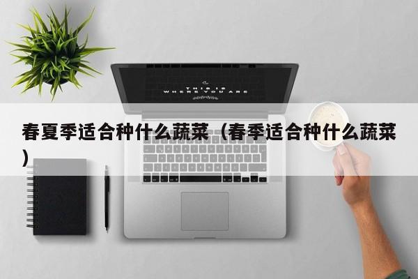 春夏季适合种什么蔬菜(春季适合种什么蔬菜)