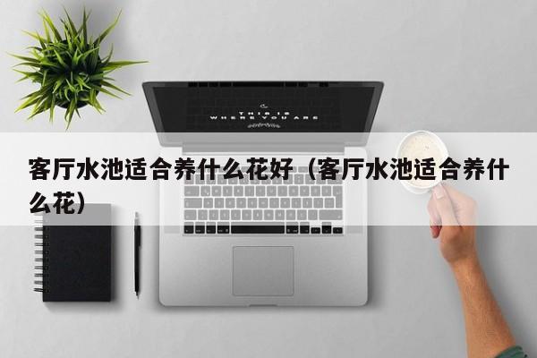 客厅水池适合养什么花好(客厅水池适合养什么花)