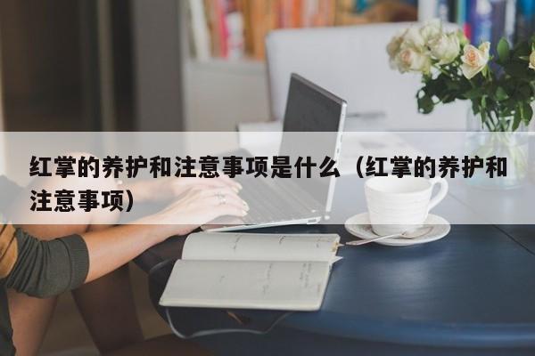 红掌的养护和注意事项是什么(红掌的养护和注意事项)