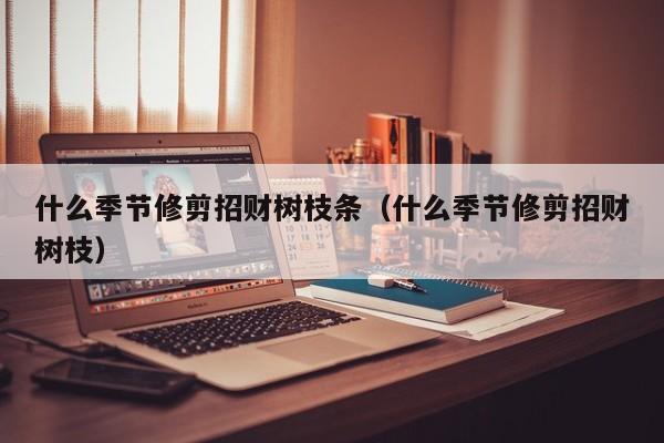 什么季节修剪招财树枝条(什么季节修剪招财树枝)