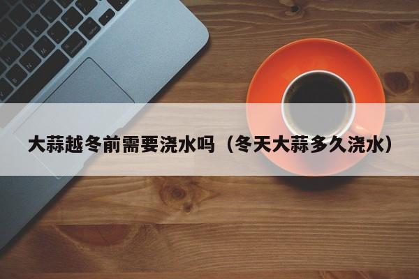 大蒜越冬前需要浇水吗(冬天大蒜多久浇水)