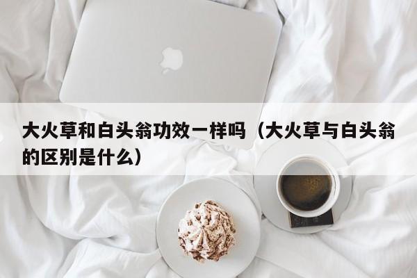 大火草和白头翁功效一样吗（大火草与白头翁的区别是什么）