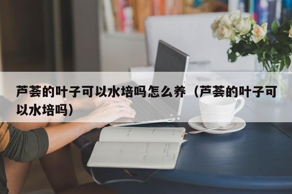 芦荟的叶子可以水培吗怎么养(芦荟的叶子可以水培吗)