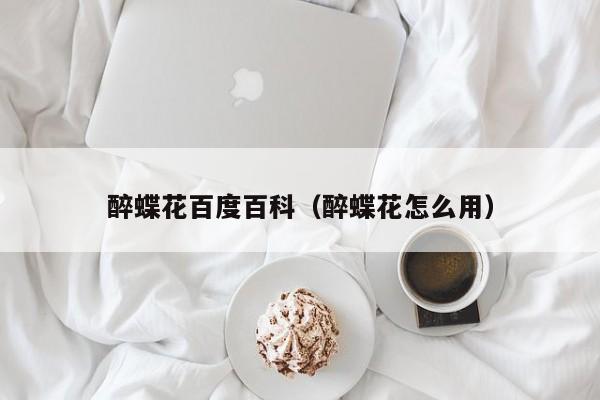 醉蝶花百度百科(醉蝶花怎么用)