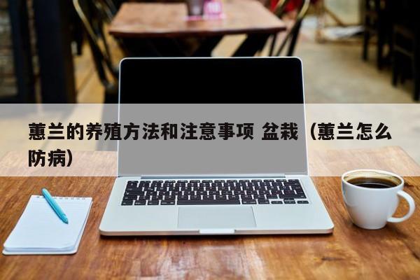 蕙兰的养殖方法和注意事项 盆栽（蕙兰怎么防病）