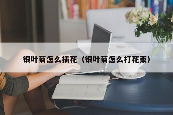 银叶菊怎么插花(银叶菊怎么打花束)
