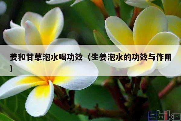 姜和甘草泡水喝功效(生姜泡水的功效与作用)