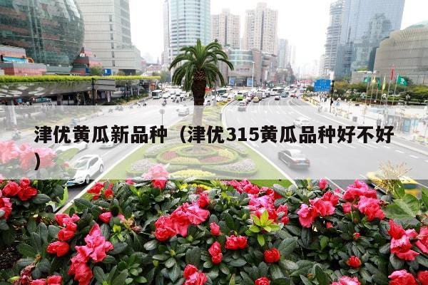 津优黄瓜新品种(津优315黄瓜品种好不好)