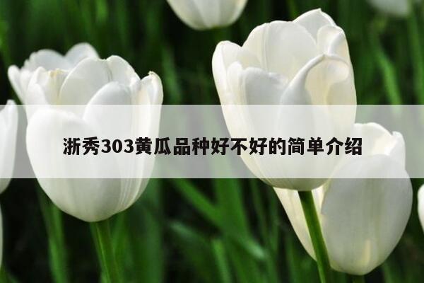 浙秀303黄瓜品种好不好的简单介绍