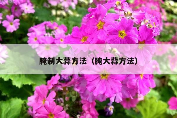 腌制大蒜方法(腌大蒜方法)