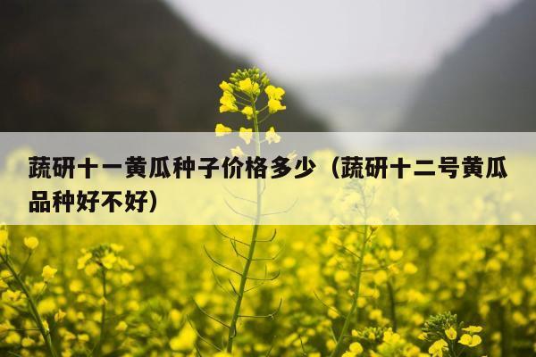 蔬研十一黄瓜种子价格多少（蔬研十二号黄瓜品种好不好）