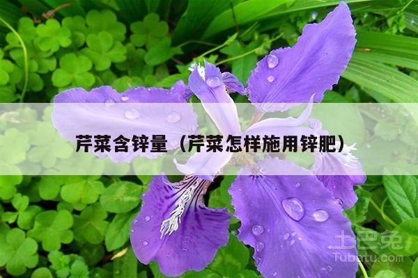 芹菜含锌量(芹菜怎样施用锌肥)
