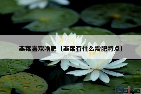 韭菜喜欢啥肥(韭菜有什么需肥特点)