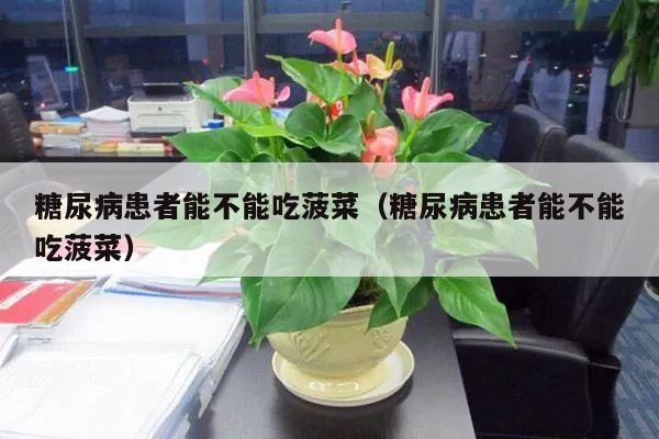 糖尿病患者能不能吃菠菜(糖尿病患者能不能吃菠菜)