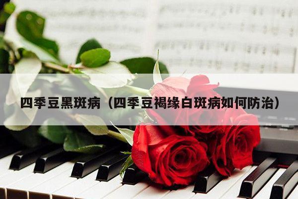 四季豆黑斑病（四季豆褐缘白斑病如何防治）